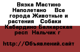 Вязка Мастино Наполетано  - Все города Животные и растения » Собаки   . Кабардино-Балкарская респ.,Нальчик г.